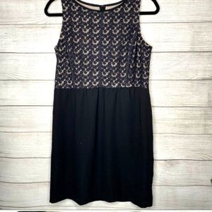 Loft Sleeveless Floral Lace Knee Length  Shift Tunic Sress Stretch 4